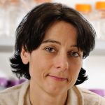 Valentina Greco, PhD