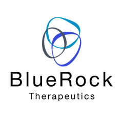 CL_6_Silver_bluerock