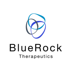 bluerock_logo_2019
