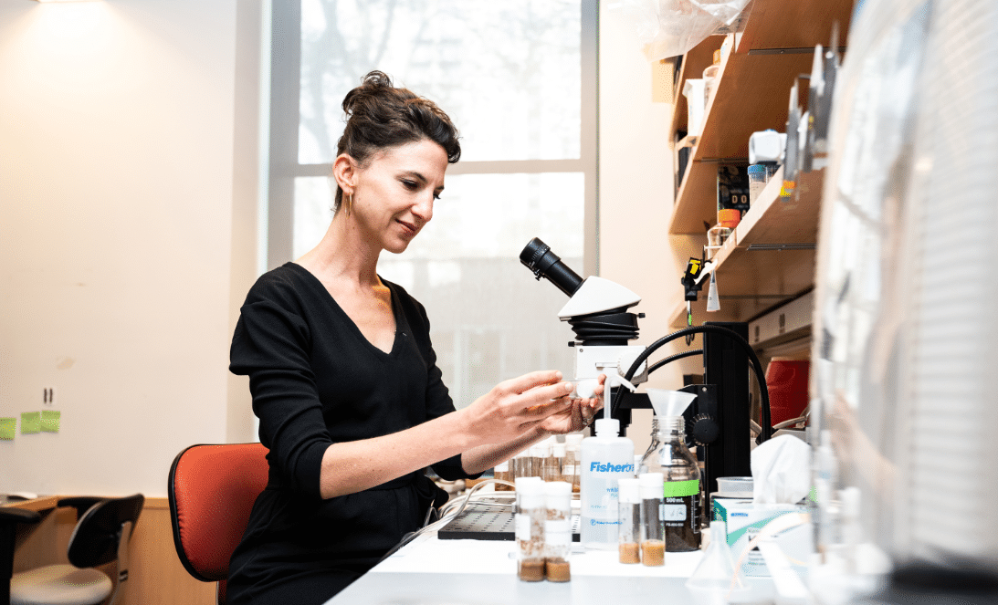 NYSCF – Robertson Neuroscience Investigator Alumna Vanessa Ruta Named ...